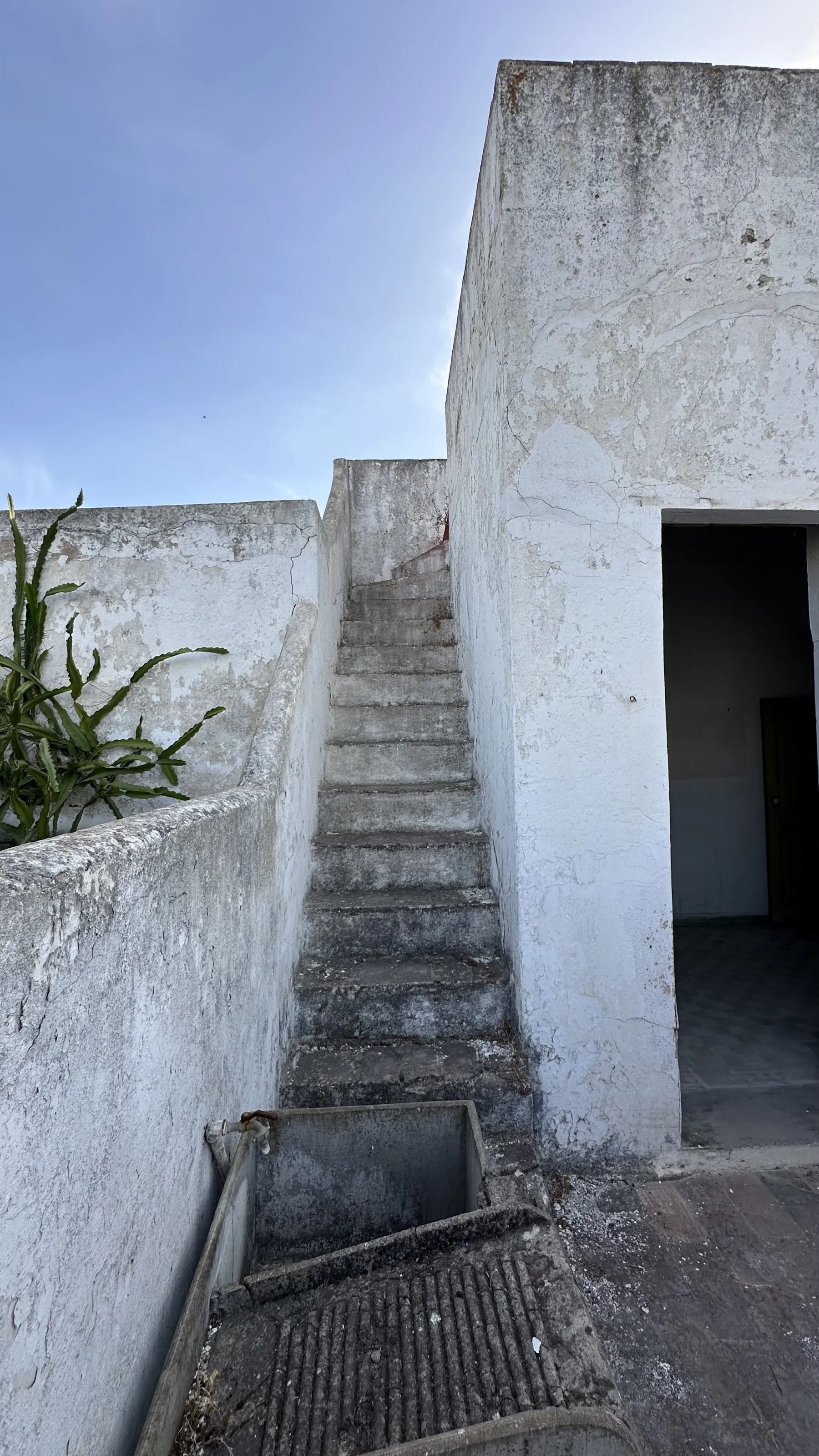 Prédio Tavira, fotografia 16