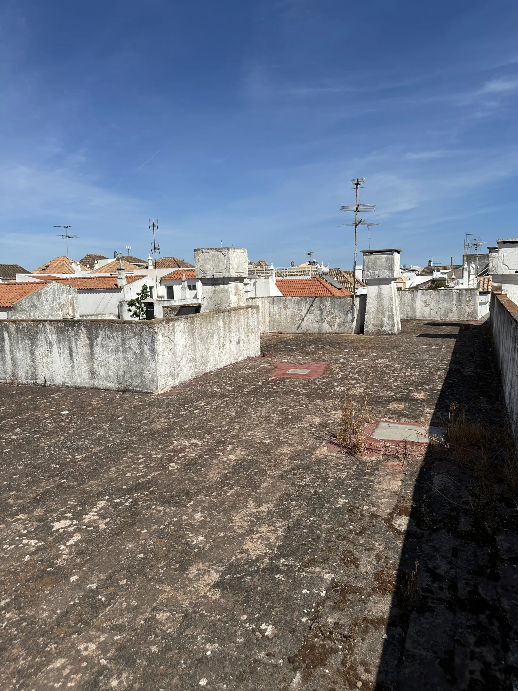 Prédio Tavira, fotografia 17